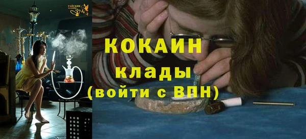 крисы Дмитров