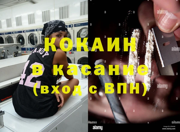 стаф Гусев