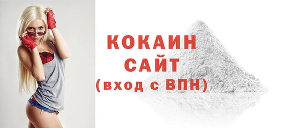 стаф Гусев