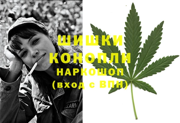 крисы Дмитров