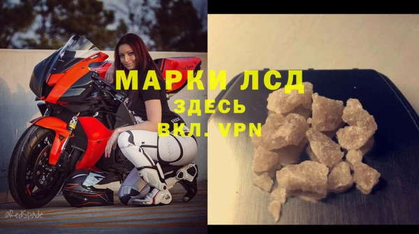 стаф Гусев
