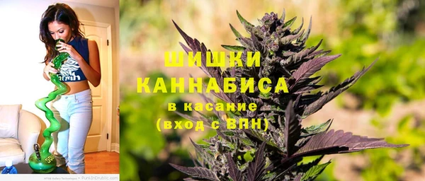 крисы Дмитров