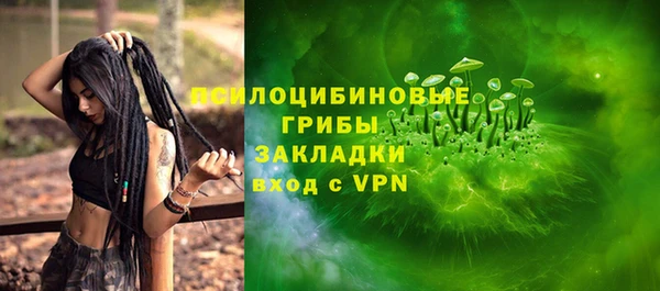 крисы Дмитров