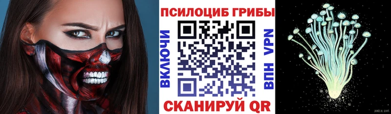 Псилоцибиновые грибы GOLDEN TEACHER  Дубна 