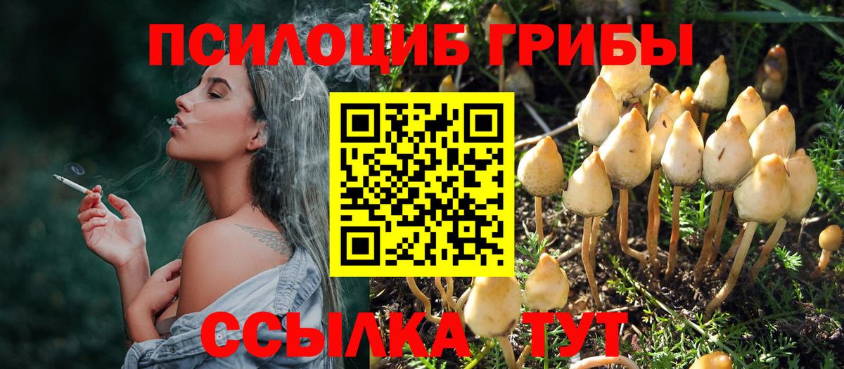 Дубна  Галлюциногенные грибы Magic Shrooms  Вход с VPN 