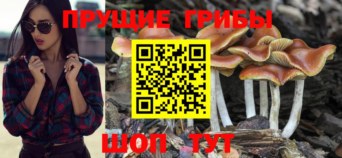 Галлюциногенные грибы GOLDEN TEACHER Дубна