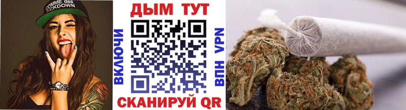 Шишки марихуана гибрид Дубна